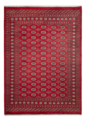 Afghan Teppich - Buchara - 297 x 220 cm - rot