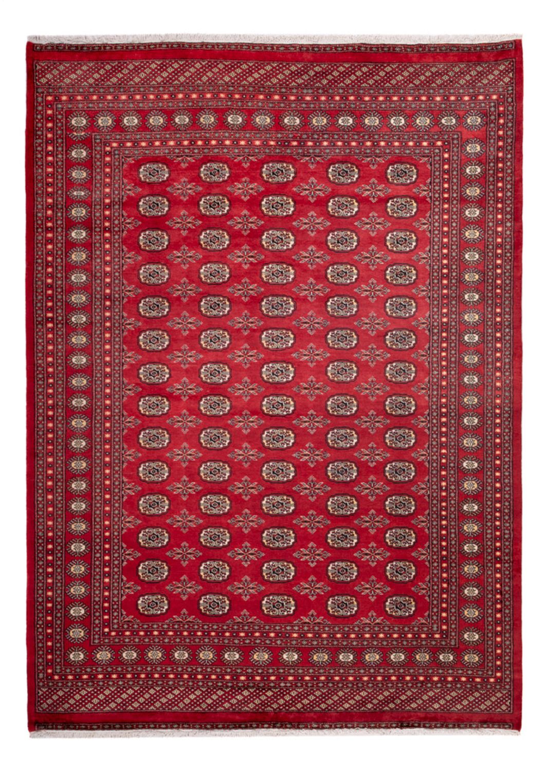 Afghan Teppich - Buchara - 297 x 220 cm - rot