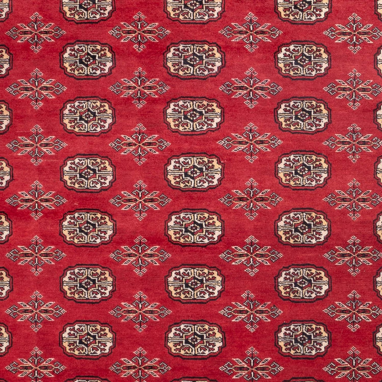 Afghan Teppich - Buchara - 297 x 220 cm - rot