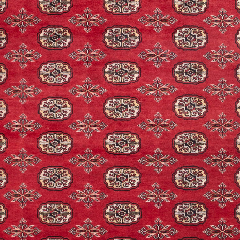 Afghan Teppich - Buchara - 297 x 220 cm - rot