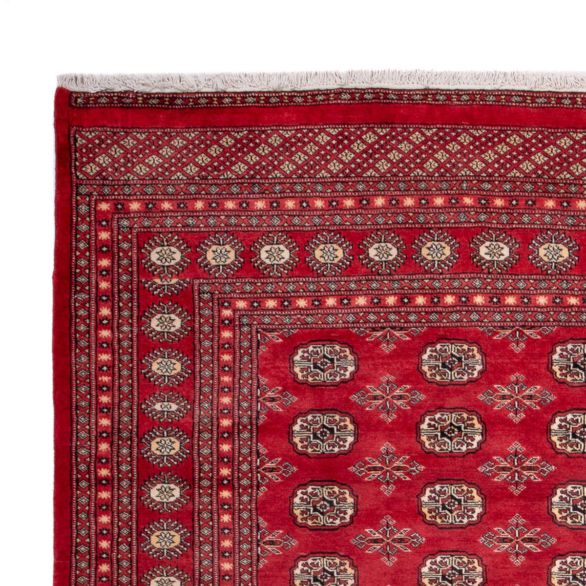 Buchara Teppich 220x297cm - Orientteppich