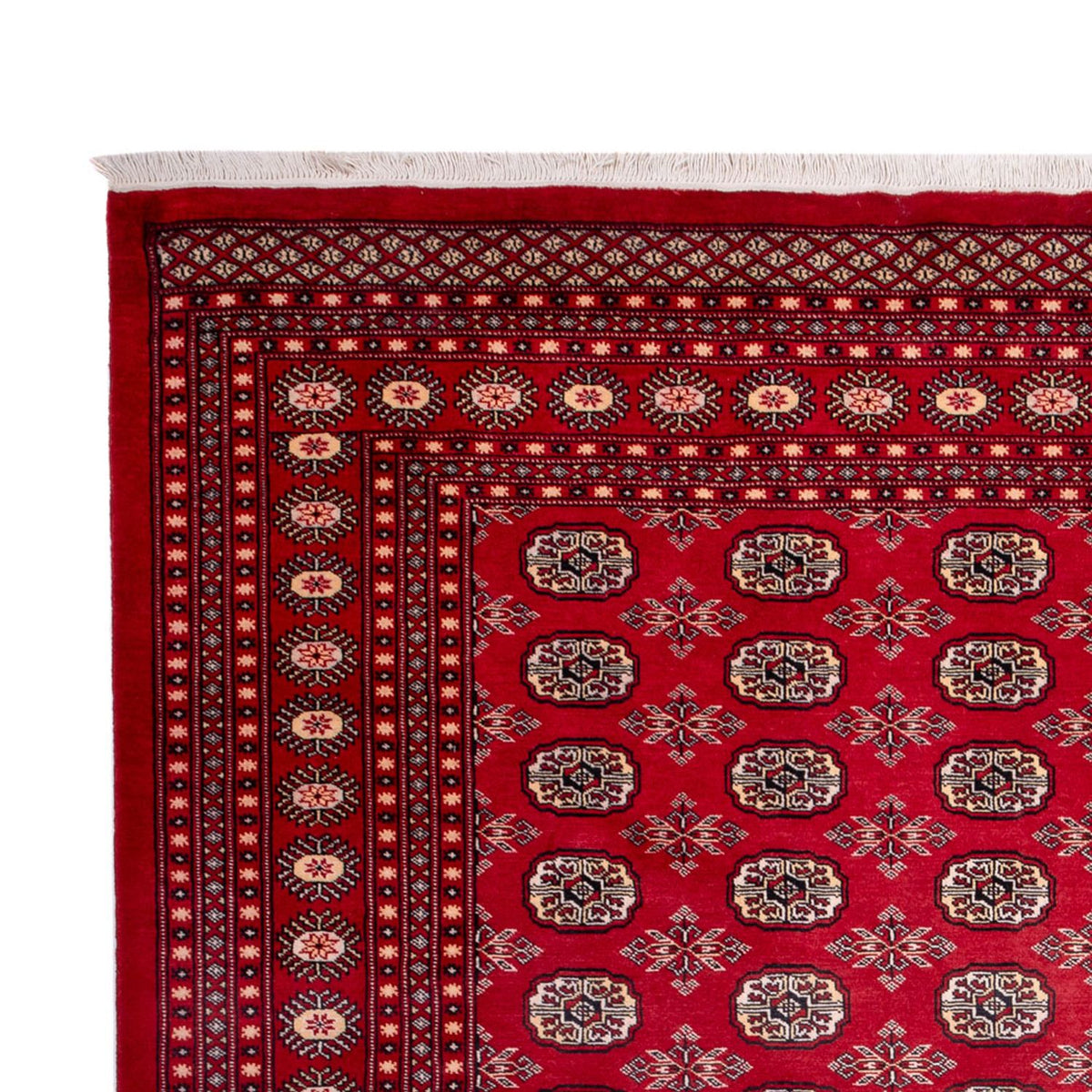 Afghan Teppich - Buchara - 322 x 248 cm - rot