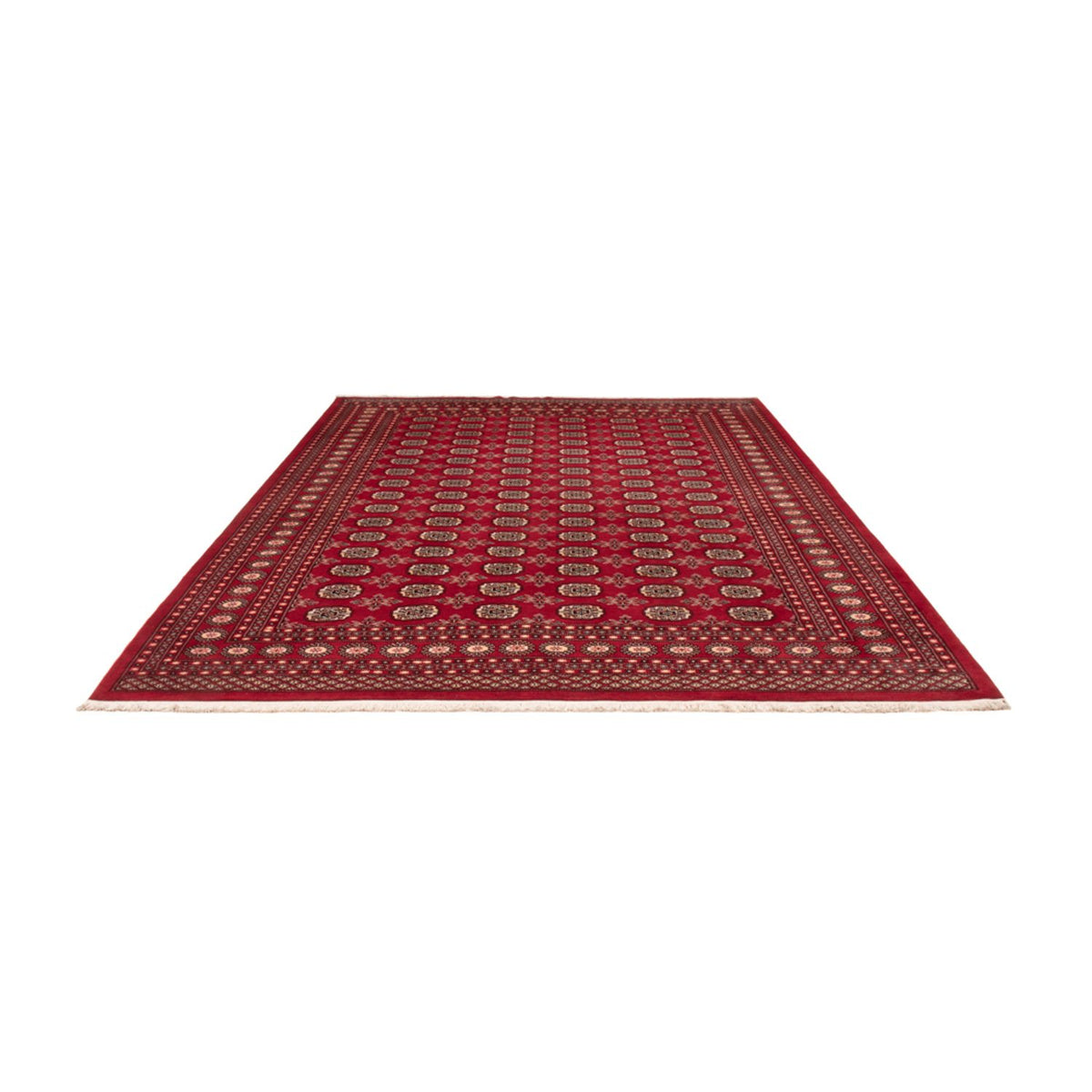 Afghan Teppich - Buchara - 322 x 248 cm - rot