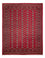 Afghan Teppich - Buchara - 312 x 245 cm - rot