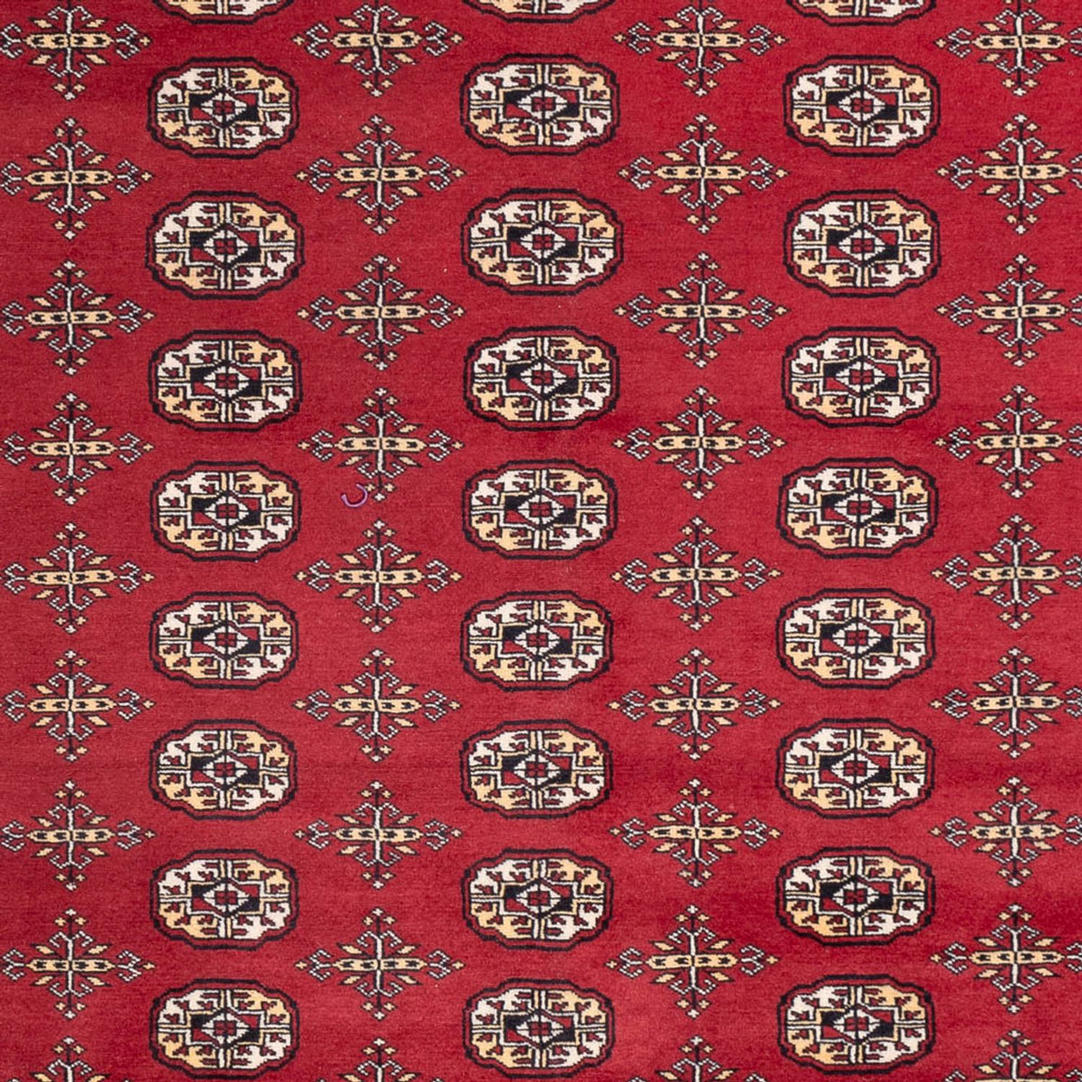Afghan Teppich - Buchara - 312 x 245 cm - rot