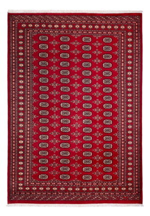 Afghan Teppich - Buchara - 297 x 213 cm - rot