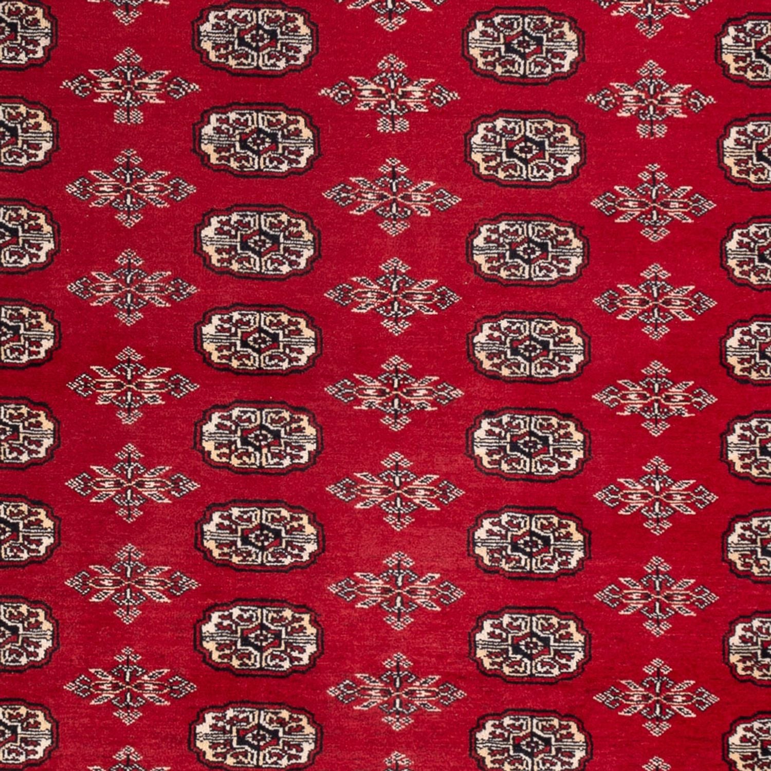 Afghan Teppich - Buchara - 297 x 213 cm - rot