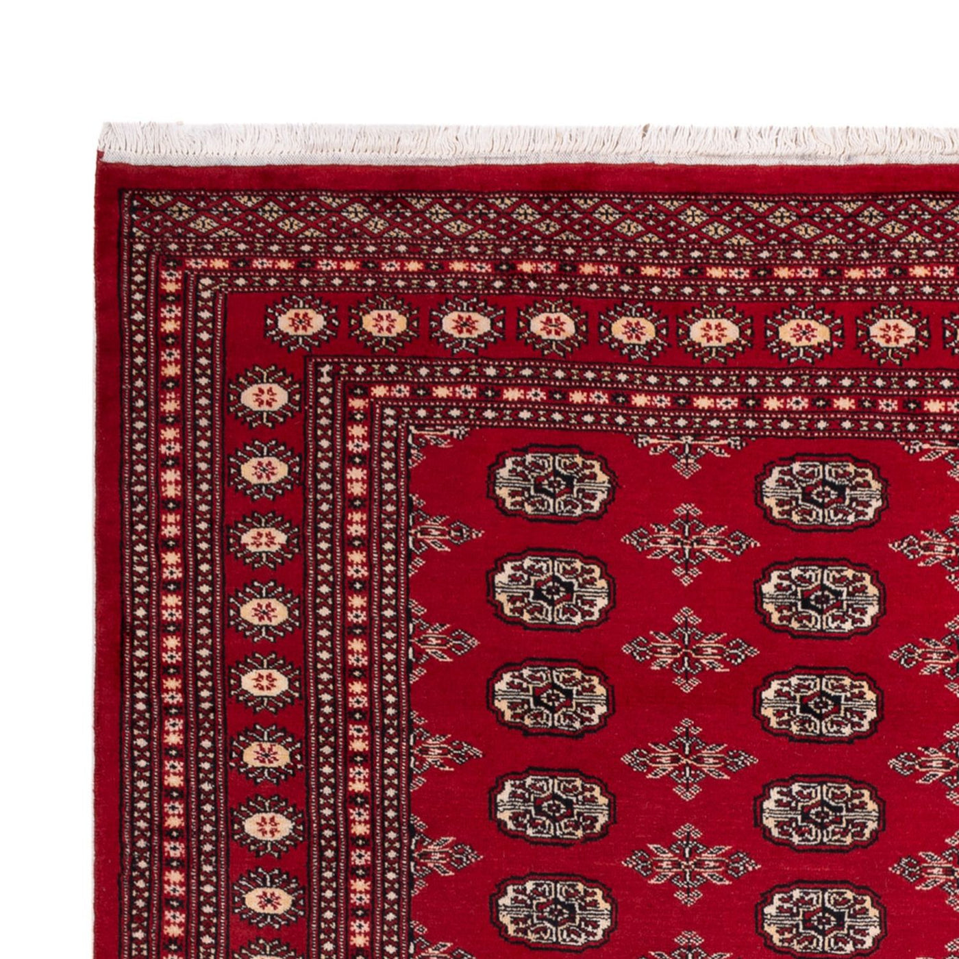 Buchara Teppich 297x213cm - Orientteppich