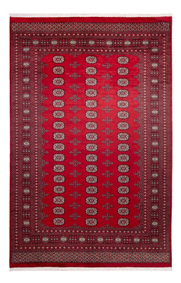 Afghan Teppich - Buchara - 306 x 197 cm - rot