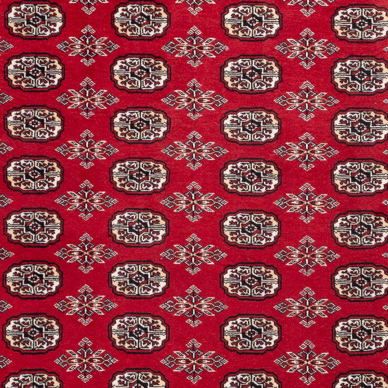 Afghan Teppich - Buchara - 302 x 199 cm - rot