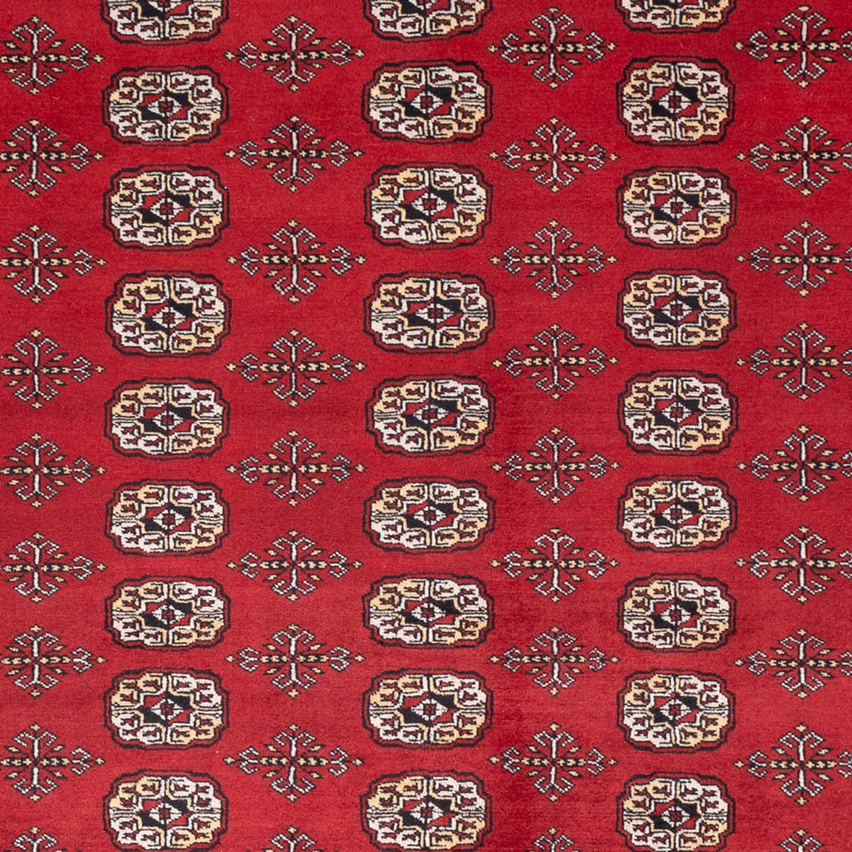 Afghan Teppich - Buchara - 298 x 243 cm - rot