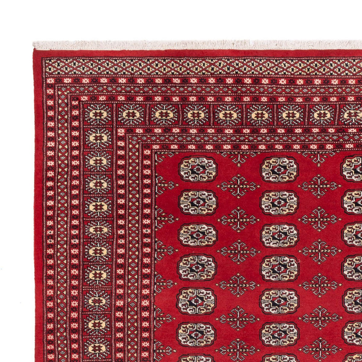 Afghan Teppich - Buchara - 298 x 243 cm - rot