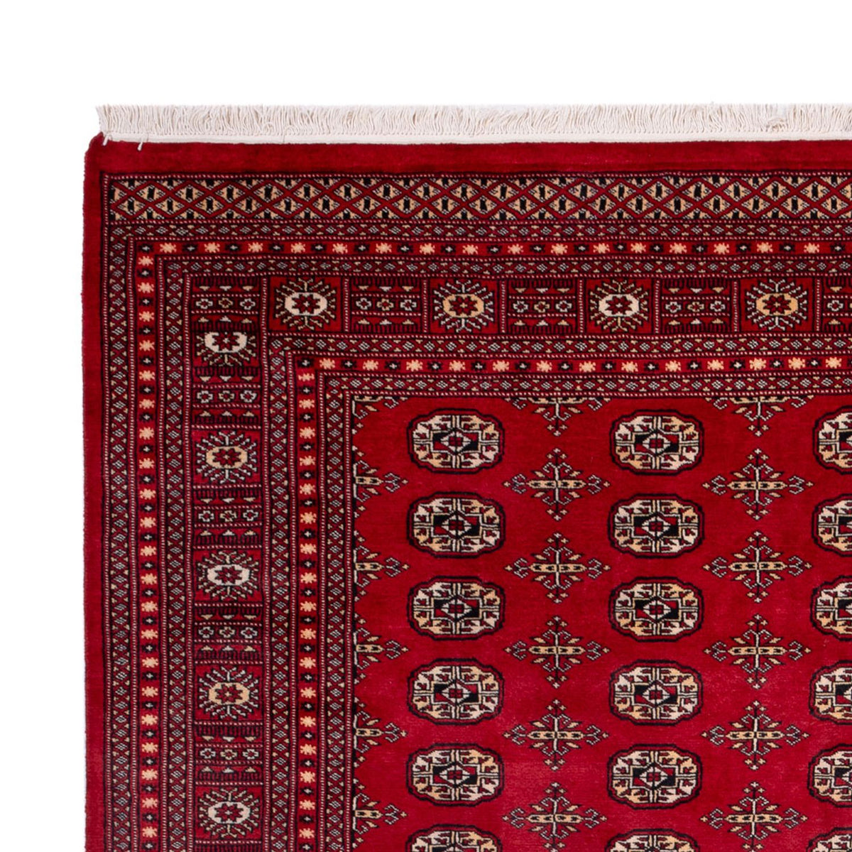 Buchara Teppich 243x308cm - Orientteppich
