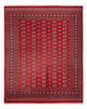 Buchara Teppich 244x312cm - Orientteppich