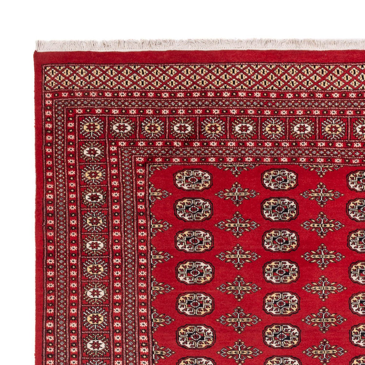 Buchara Teppich 244x312cm - Orientteppich