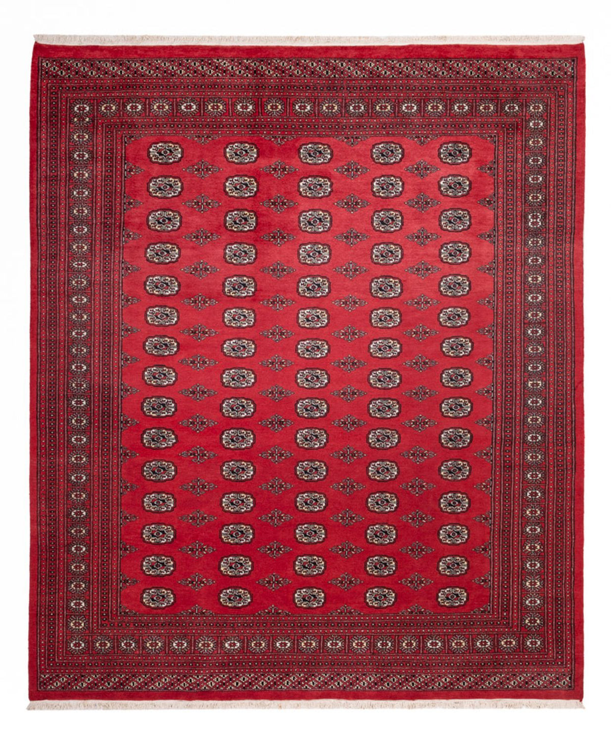 Afghan Teppich - Buchara - 305 x 246 cm - rot