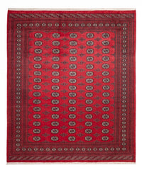 Buchara Teppich 305x246cm - Orientteppich – product image