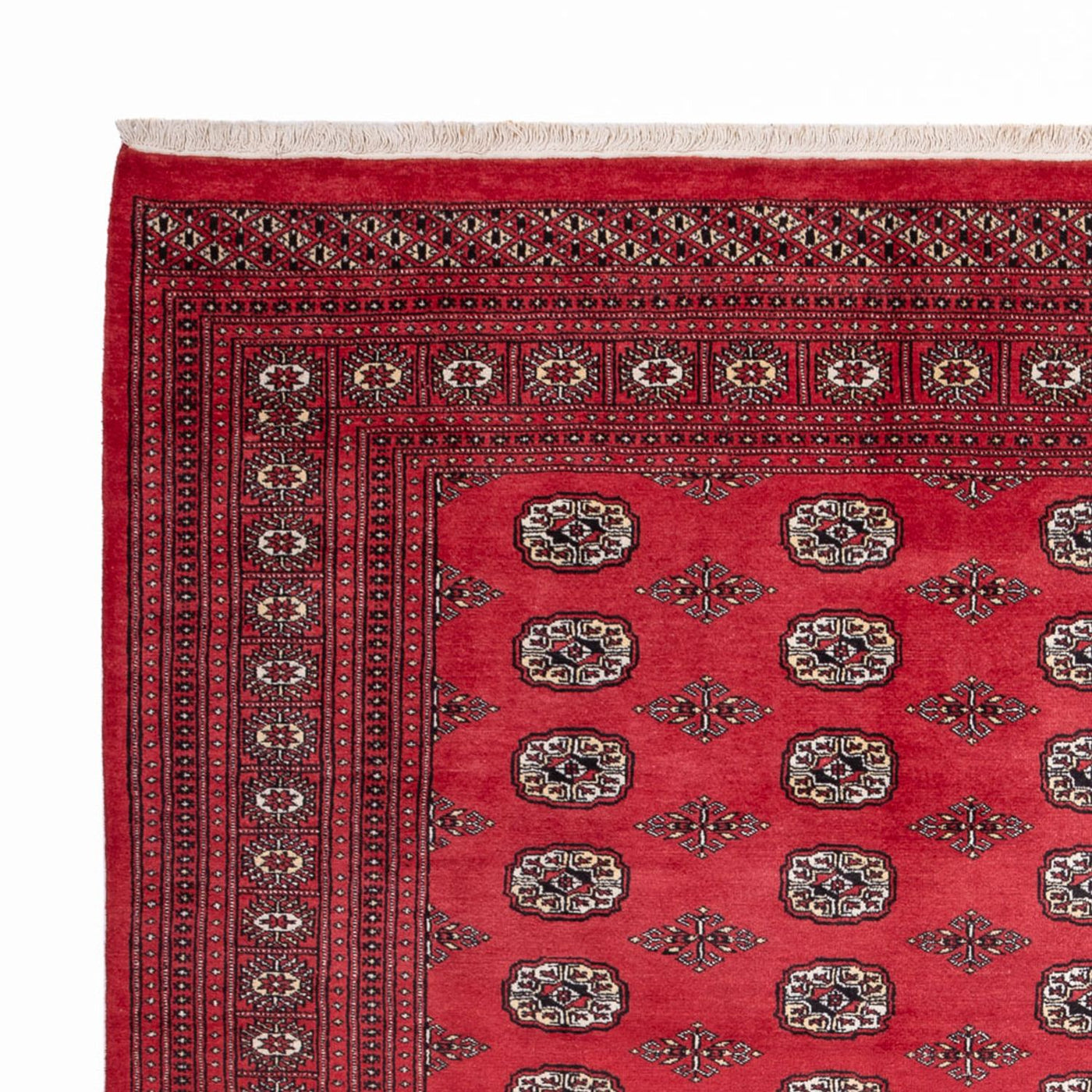 Buchara Teppich 305x246cm - Orientteppich