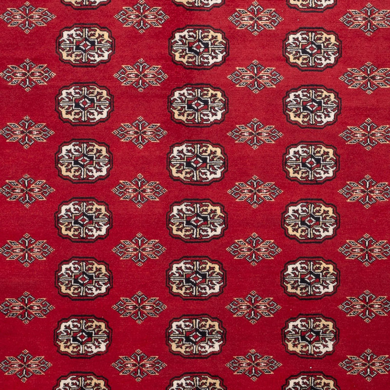 Afghan Teppich - Buchara - 301 x 245 cm - rot