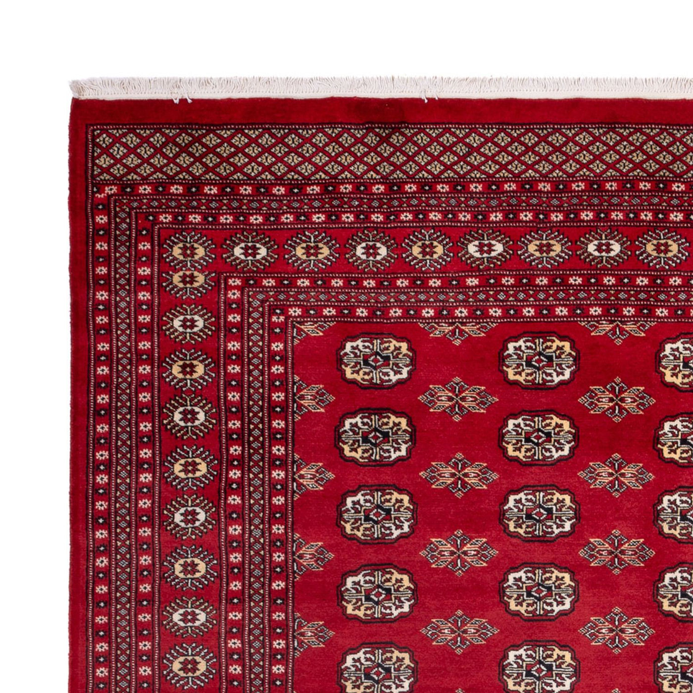 Buchara Teppich 301x245cm - Orientteppich