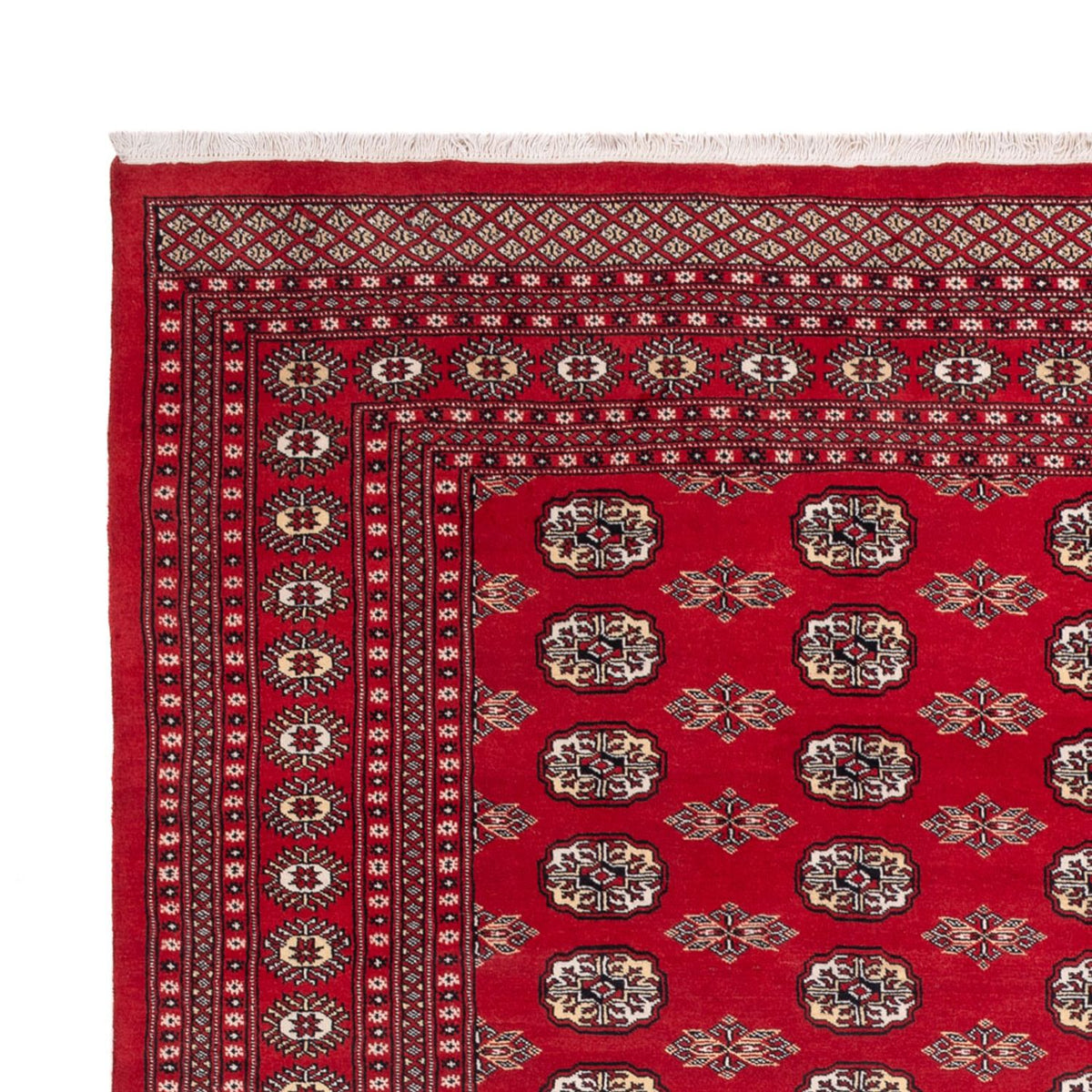 Afghan Teppich - Buchara - 314 x 243 cm - rot