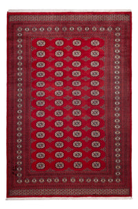 Afghan Teppich - Buchara - 290 x 200 cm - rot