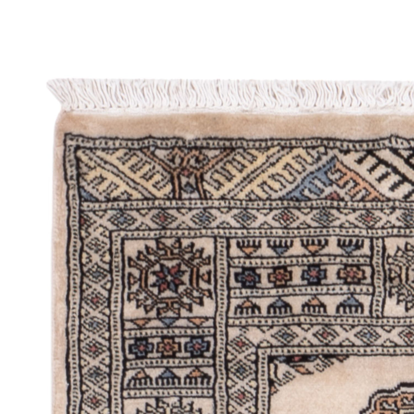 Pakistan Teppich 244x77cm - Orientteppich