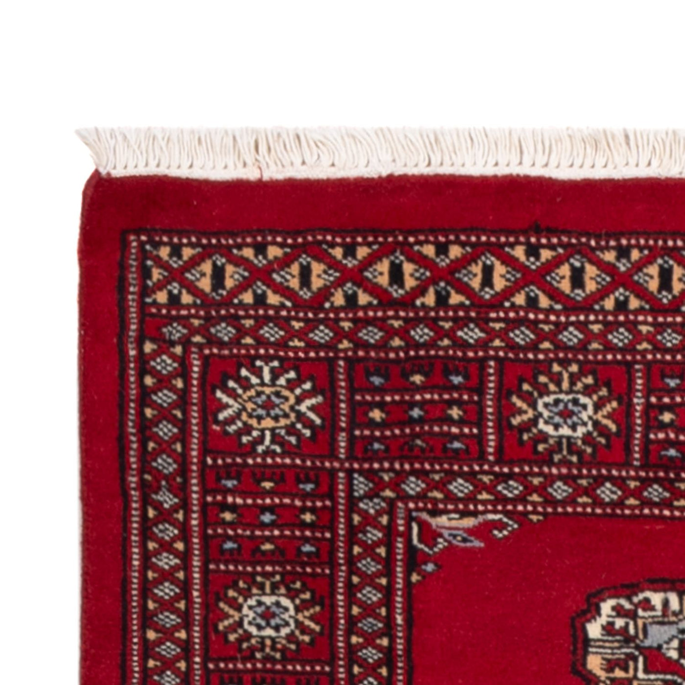 Pakistan Teppich 239x79cm - Orientteppich