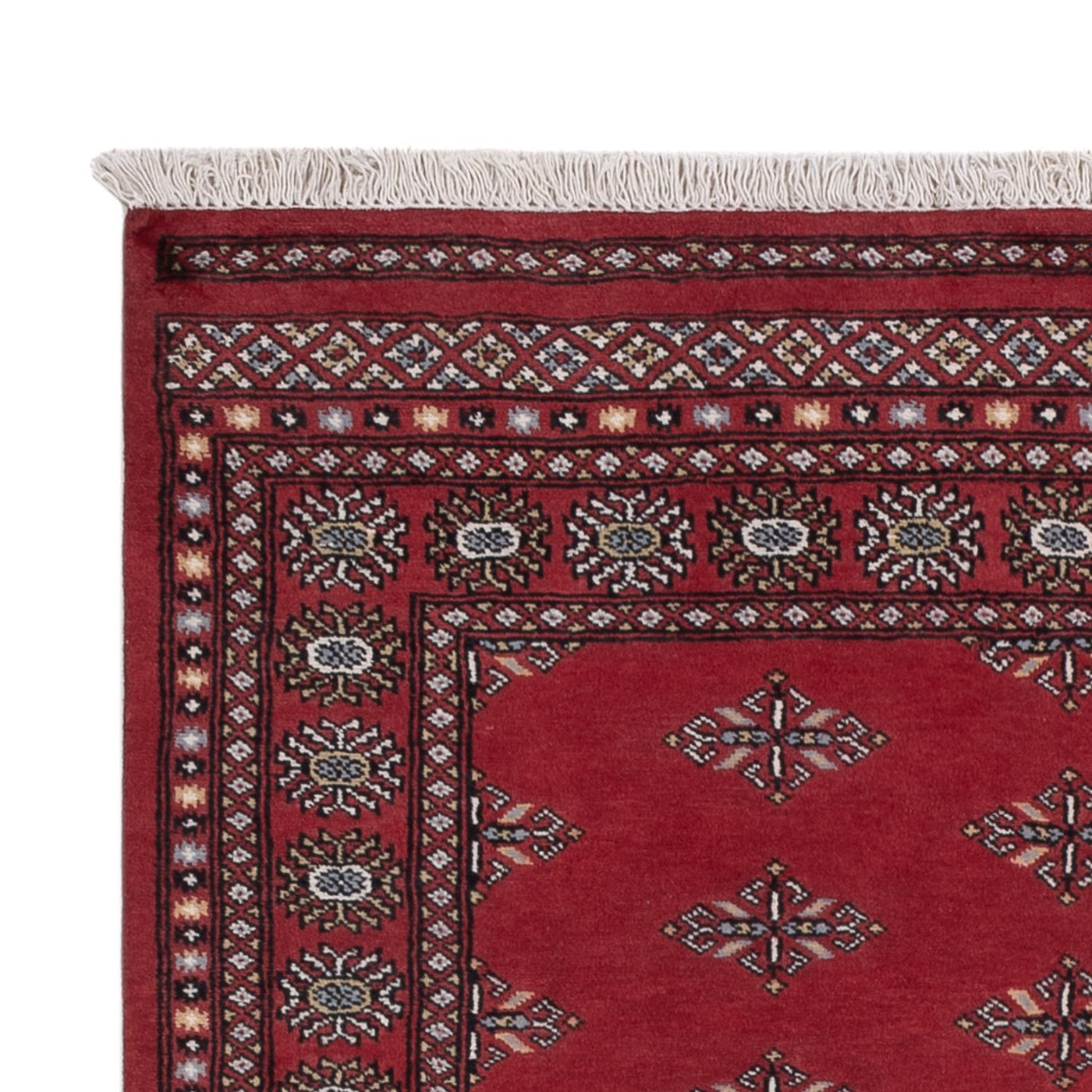 Pakistan Teppich 203x137cm - Orientteppich