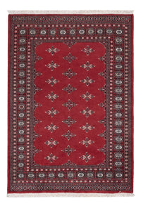 Pakistan Teppich - 199 x 140 cm - rot
