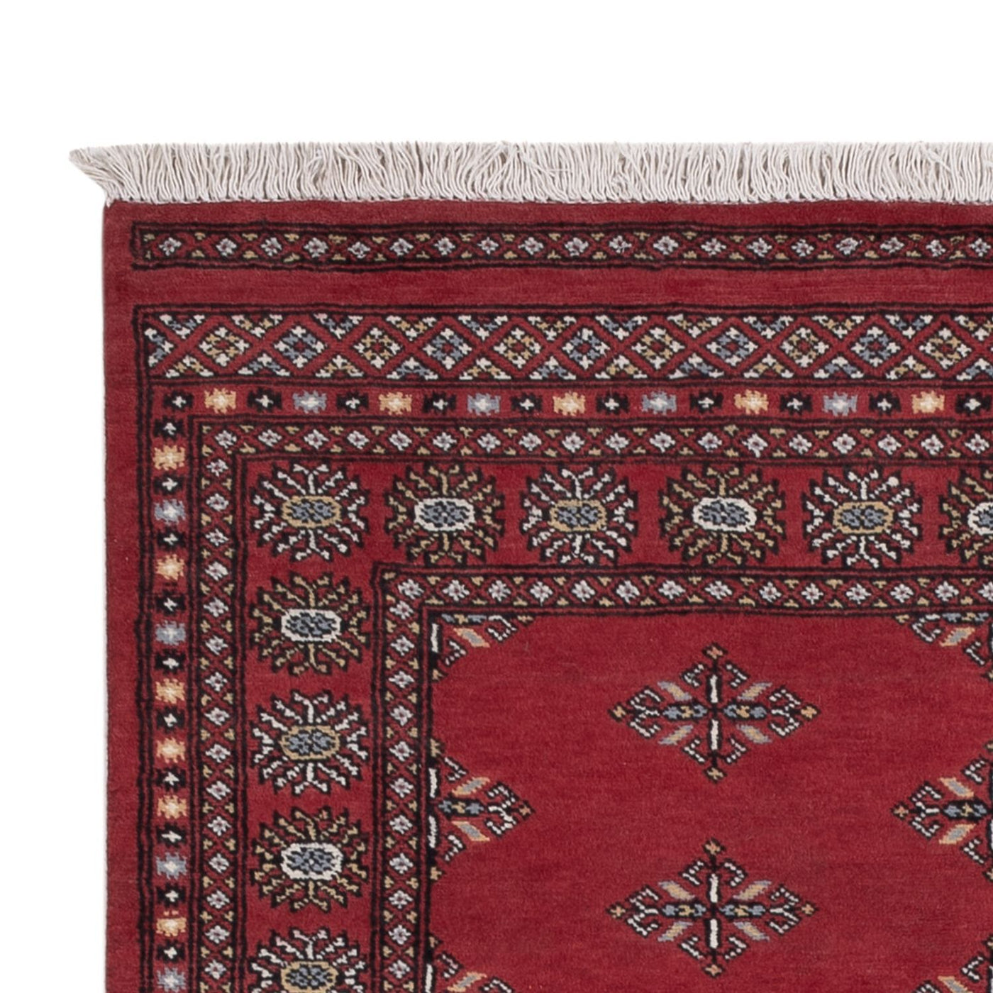 Pakistan Teppich 215x137cm - Orientteppich