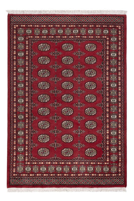 Pakistan Teppich - 204 x 139 cm - rot