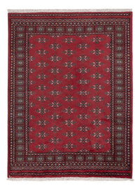 Pakistan Teppich - 183 x 140 cm - rot