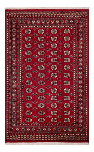 Pakistan Teppich - 256 x 167 cm - rot