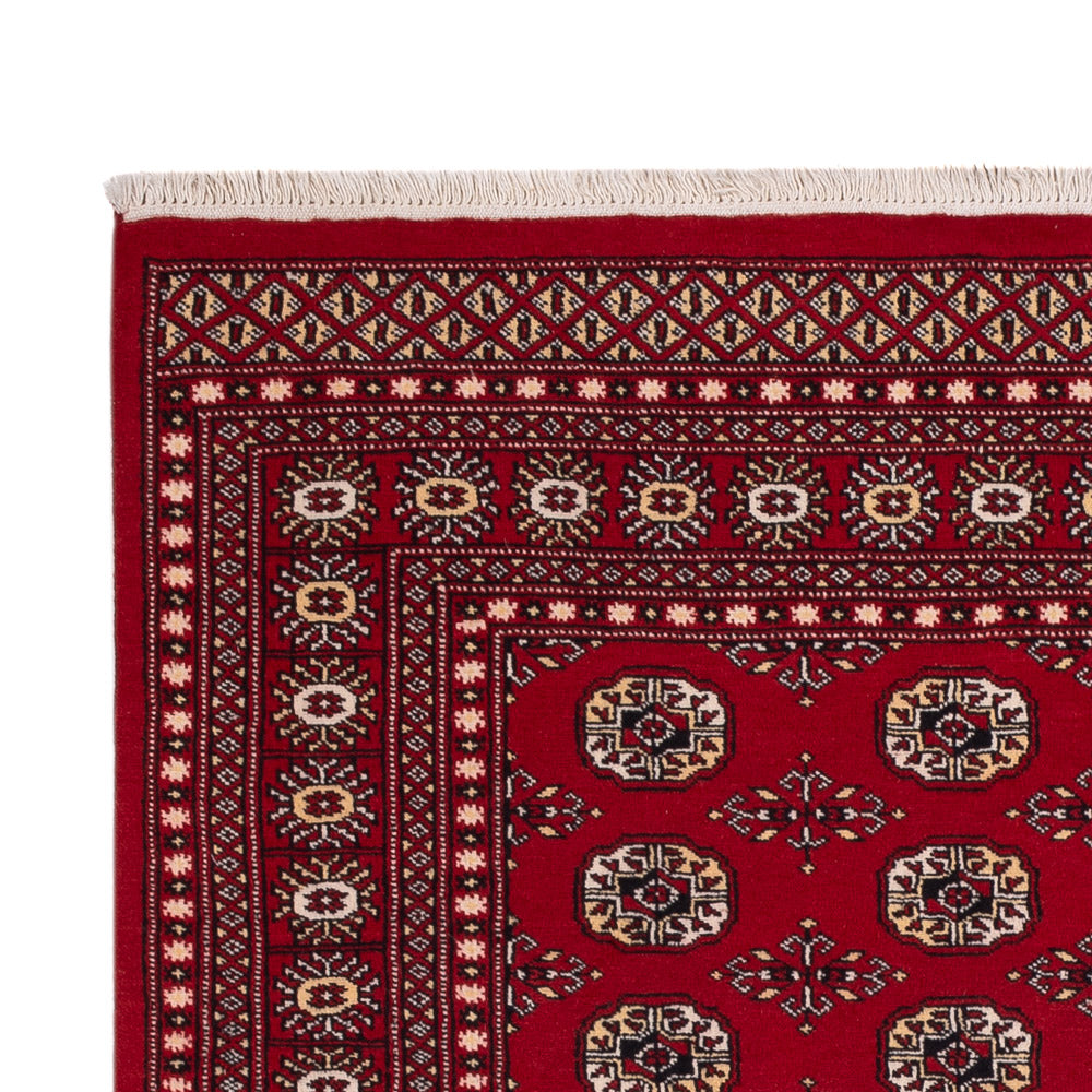 Pakistan Teppich - 256 x 167 cm - rot