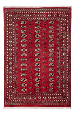 Pakistan Teppich - 243 x 168 cm - rot