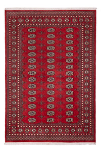 Pakistan Teppich - 243 x 168 cm - rot