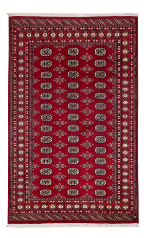 Pakistan Teppich - 244 x 154 cm - rot