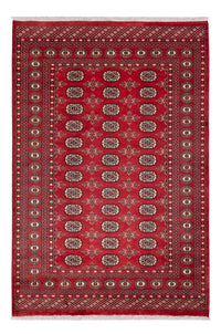 Pakistan Teppich - 237 x 158 cm - rot
