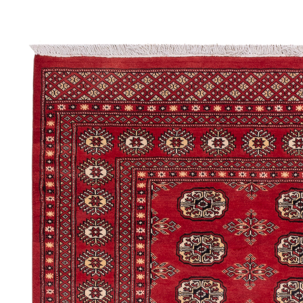 Pakistan Teppich 237x158cm - Orientteppich