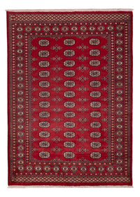 Pakistan Teppich - 240 x 171 cm - rot