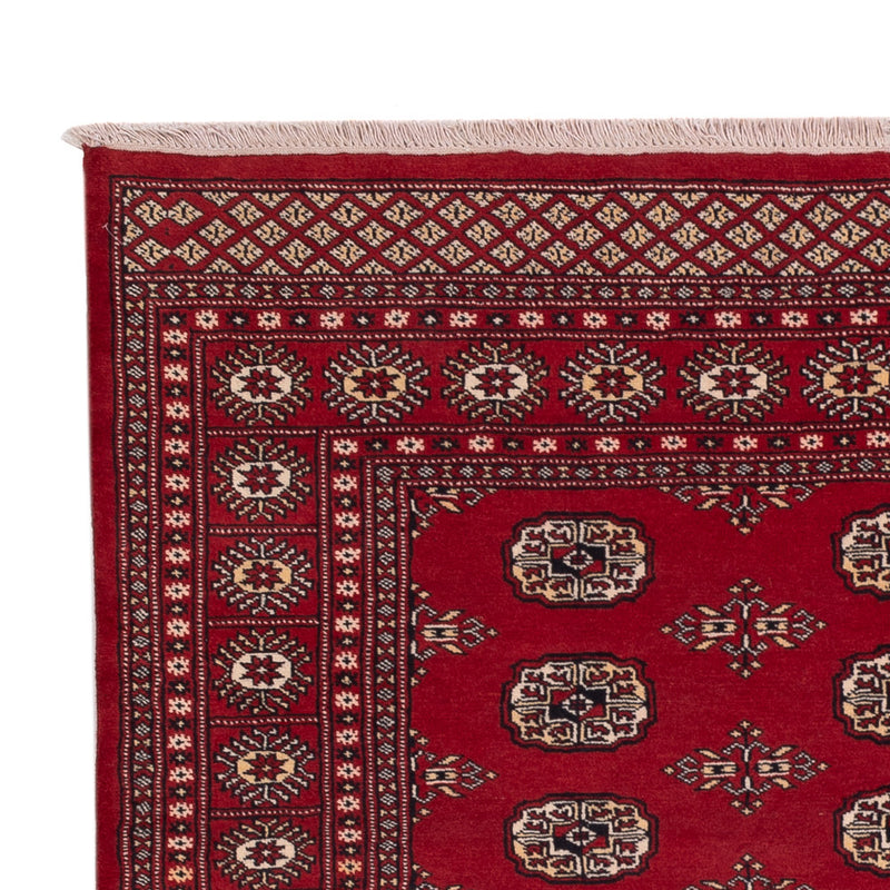 Pakistan Teppich - 240 x 171 cm - rot