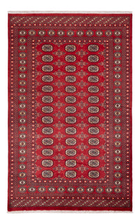 Pakistan Teppich - 250 x 159 cm - rot