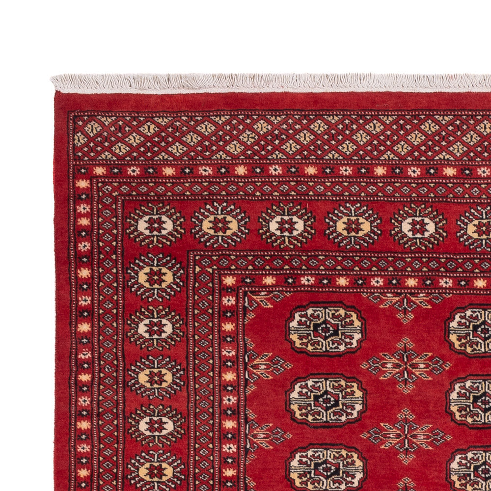 Pakistan Teppich - 250 x 159 cm - rot