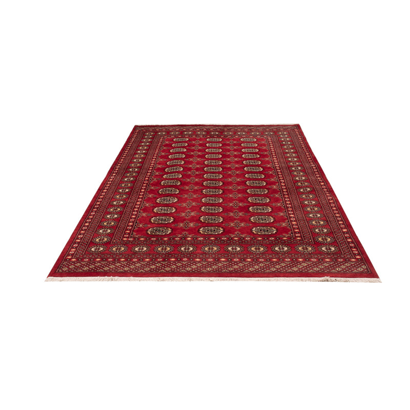 Pakistan Teppich - 250 x 159 cm - rot