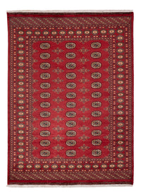 Pakistan Teppich - 241 x 173 cm - rot