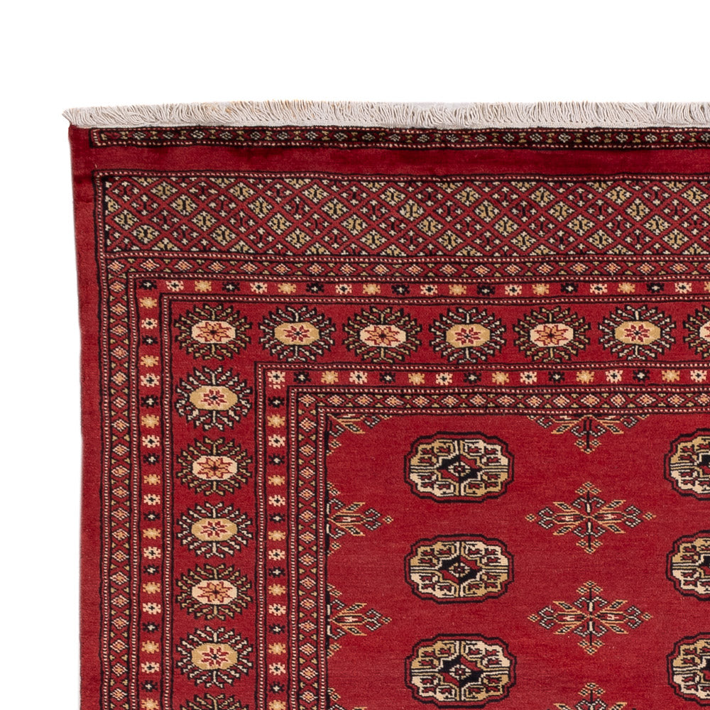 Pakistan Teppich 241x173cm - Orientteppich