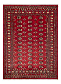Pakistan Teppich - 233 x 174 cm - rot