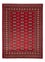Pakistan Teppich - 233 x 174 cm - rot
