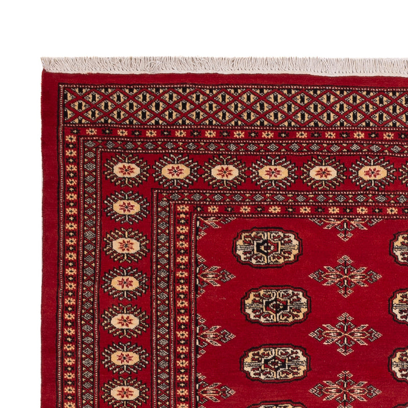 Pakistan Teppich - 233 x 174 cm - rot